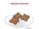 Royal Canin Mini Adulto 7,5 kg Alimento Premium para Perros de Raza Pequeña - Imagen 2